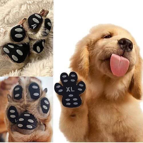 Best Interactive Dog Toys for Every Pup Personality