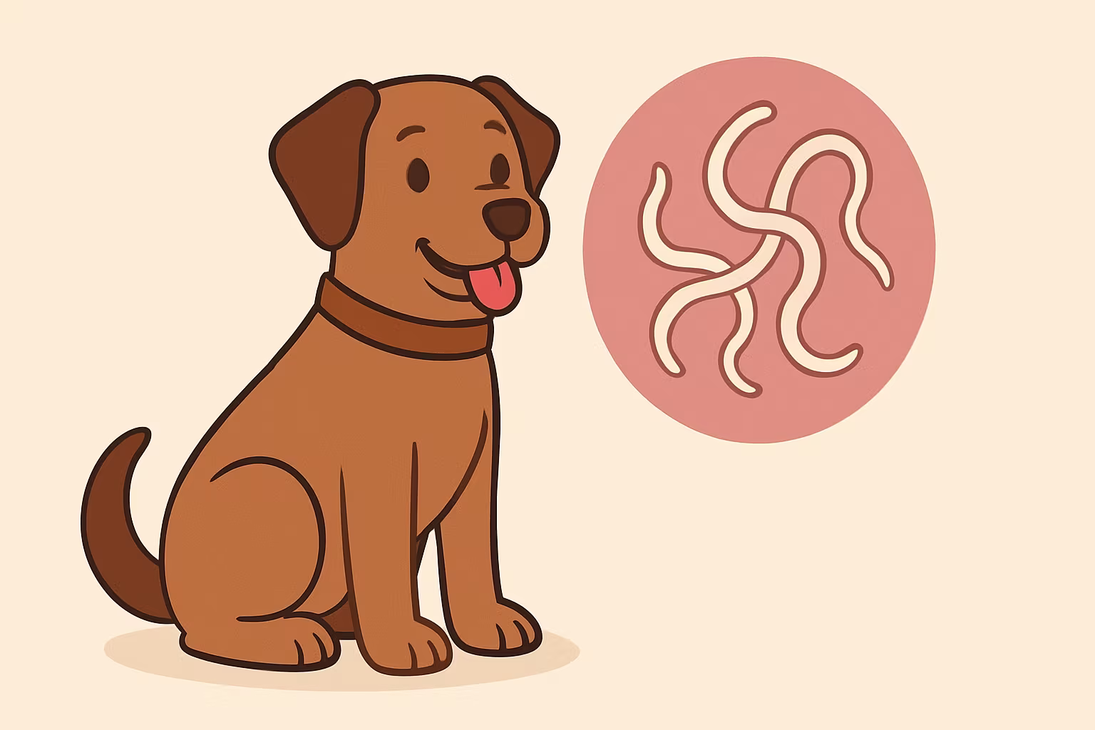 Deworming for Dogs: What Every Pet Parent Needs to Know
