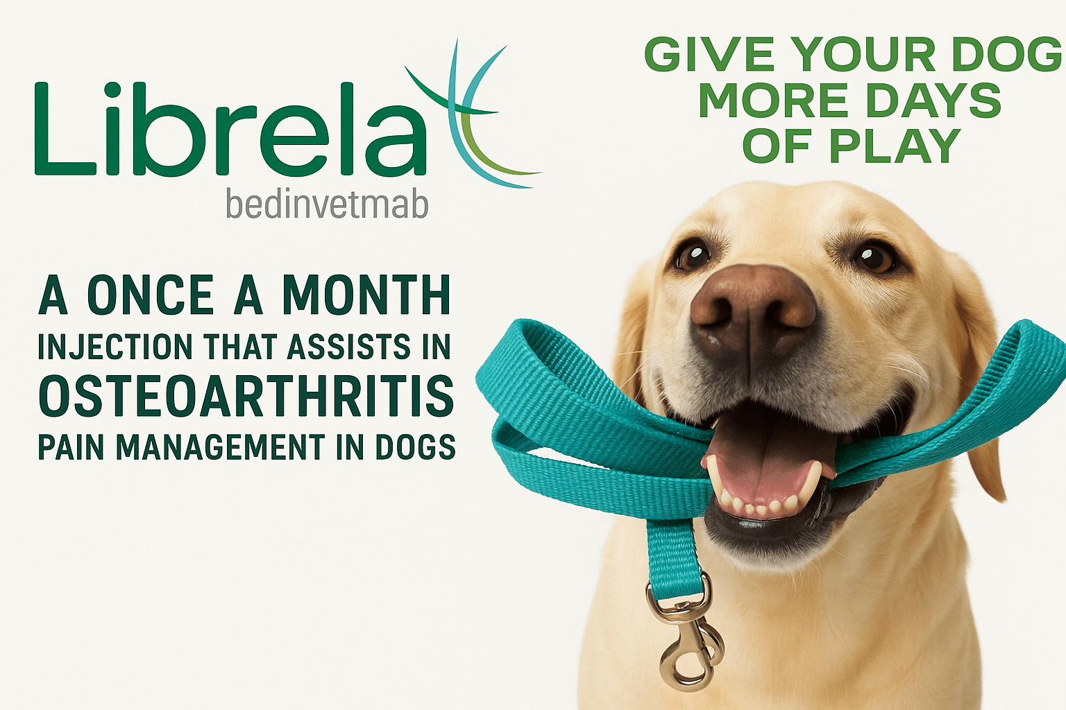 librela for dogs